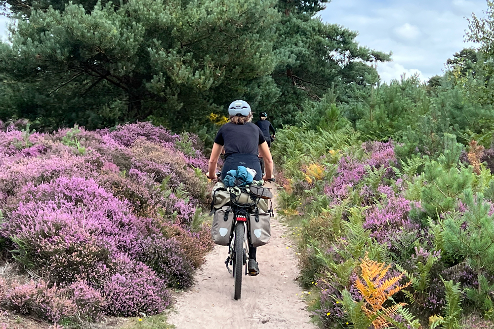 East Wolfway dag1 4