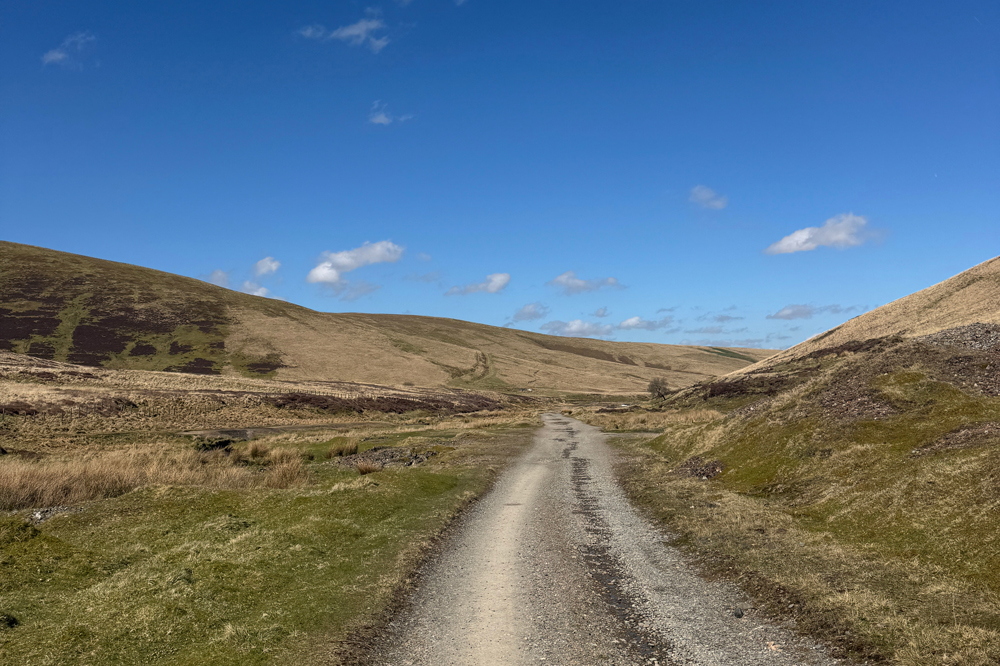 Scotland 1