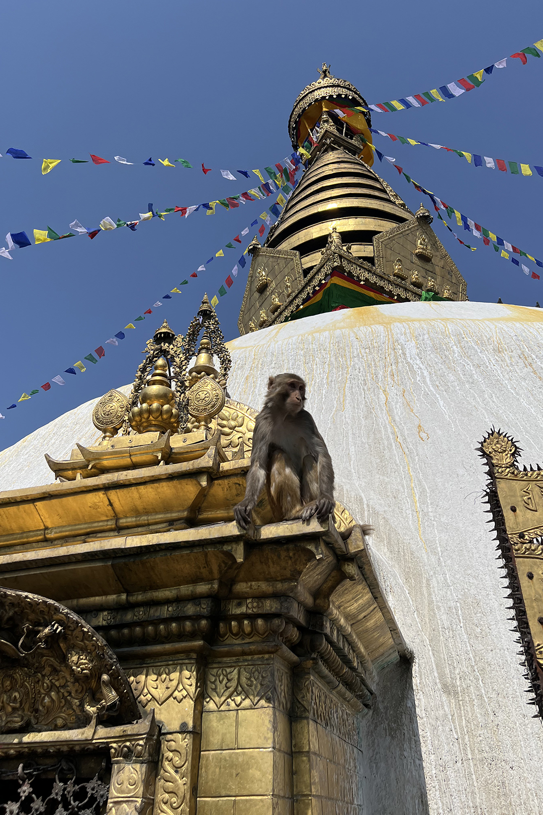 Beginning nepal to turkey 08